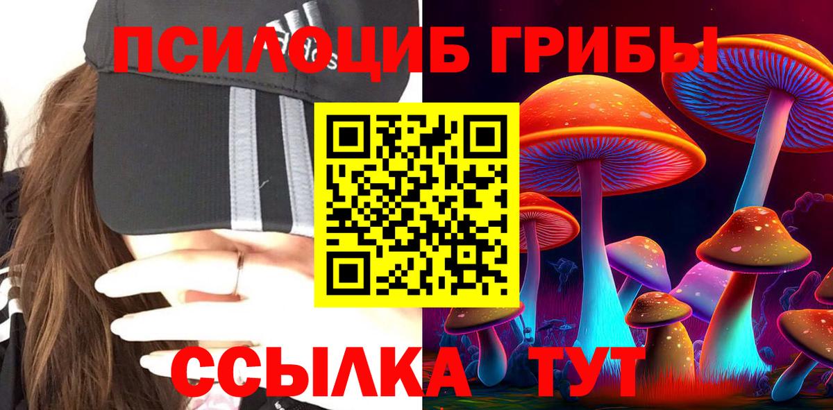 Псилоцибиновые грибы Cubensis Кушва