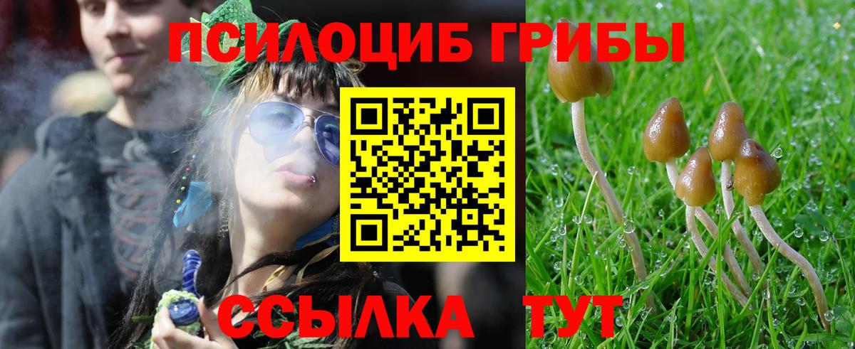 Кушва  Кодеин  Каннабис  Вход с VPN  Экстази  МЕФ   Гашиш  APVP СОЛЬ кристаллы 