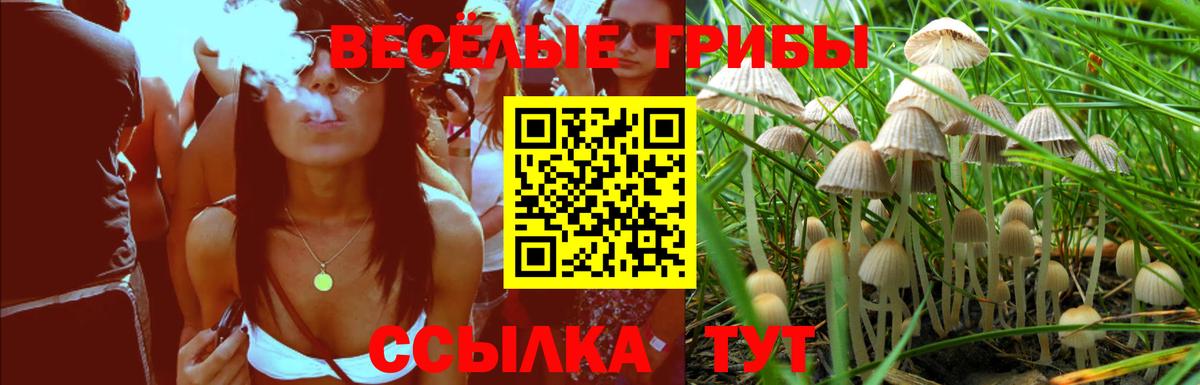 купить наркоту  Псилоцибиновые грибы MAGIC MUSHROOMS  Кушва  Вход с VPN  Псилоцибиновые грибы Cubensis 